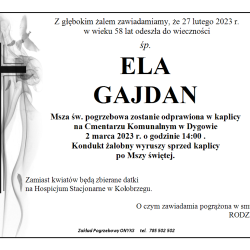 p-ELA-GAJDAN